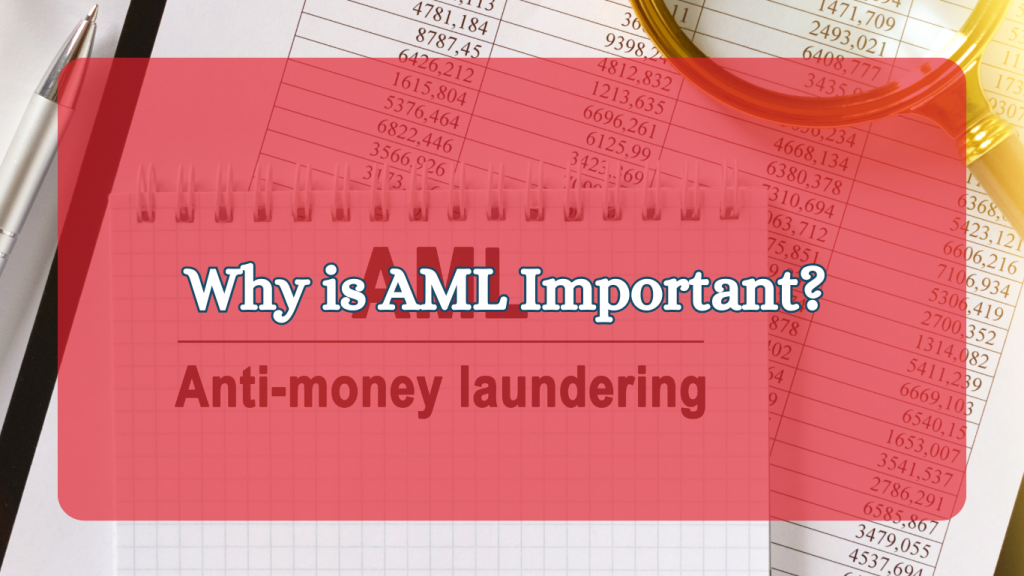 Why is AML Important? The Impact of Money Laundering on the Economy and ...